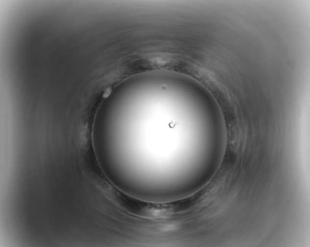 X0000089410563200706221137