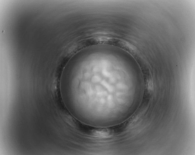 X0000089410567200706221137