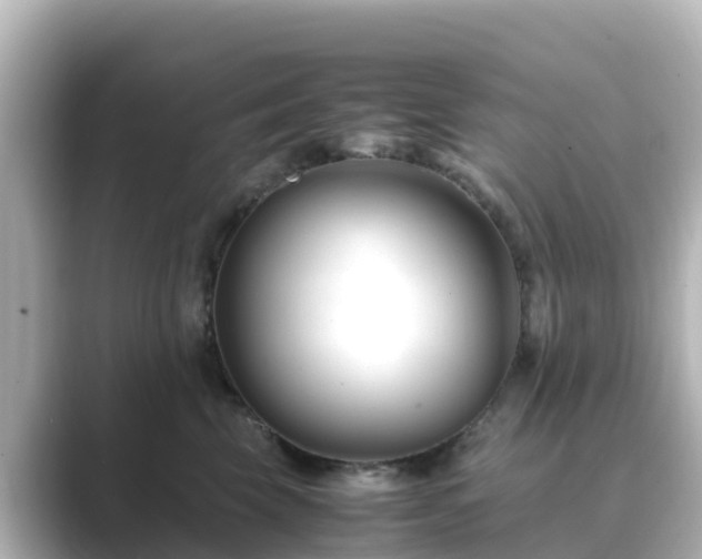 X0000089410569200706221137