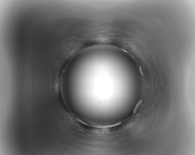 X0000089410576200706221137