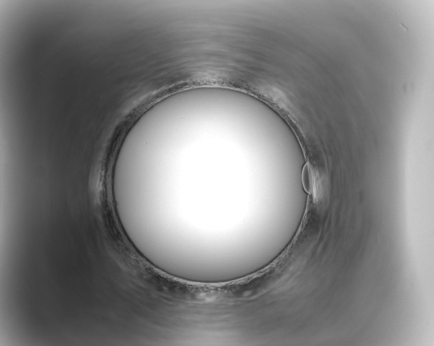 X0000089410579200706221137