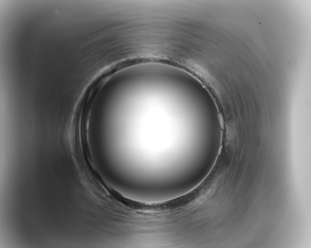 X0000089410580200706221137
