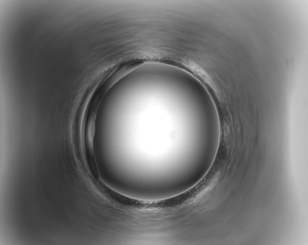 X0000089410581200706221137