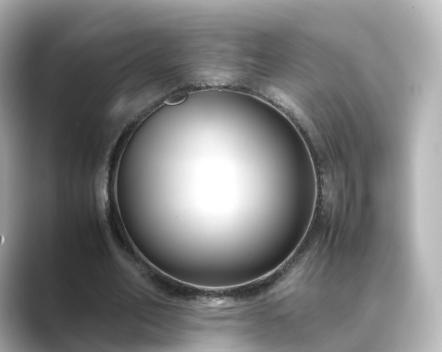 X0000089410582200706221137