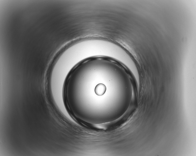 X0000089410584200706221137