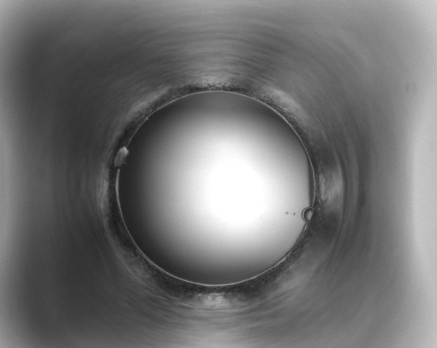 X0000089410588200706221137