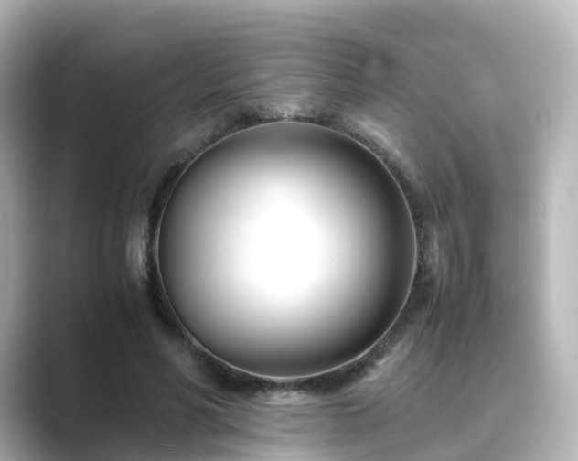 X0000089410590200706221137