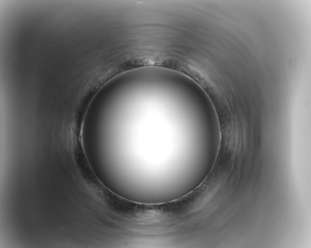 X0000089410594200706221137