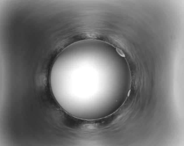 X0000089410595200706221137