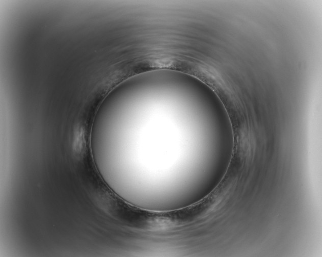 X0000089410598200706221137