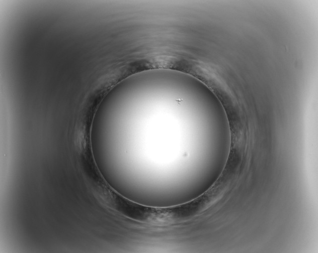 X0000089410599200706221137