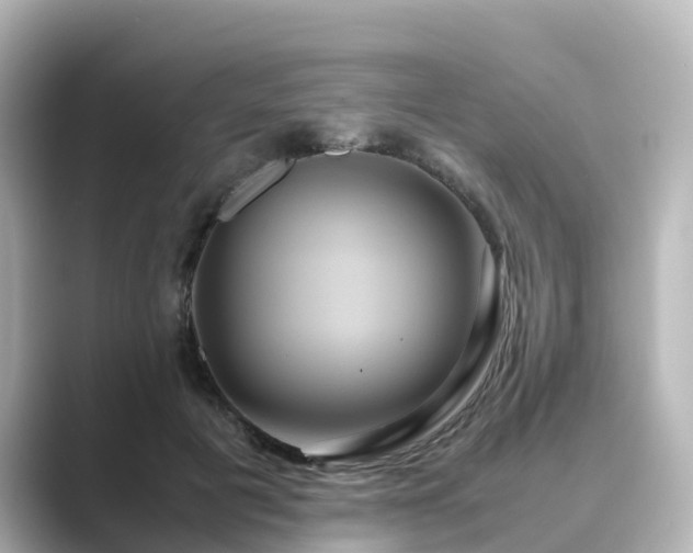 X0000089410601200706221136