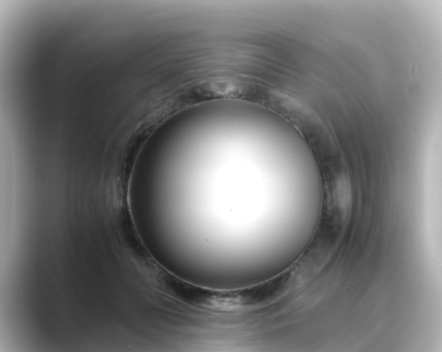 X0000089410606200706221136