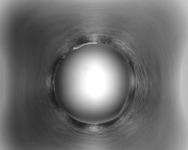 X0000089410611200706221136