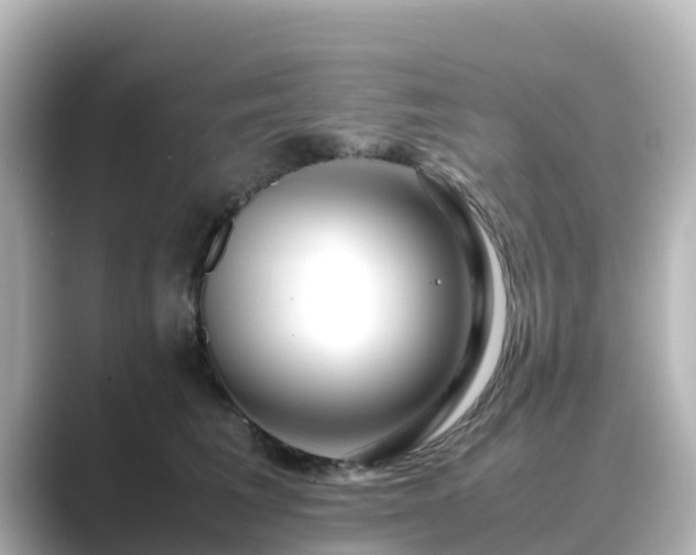 X0000089410613200706221136