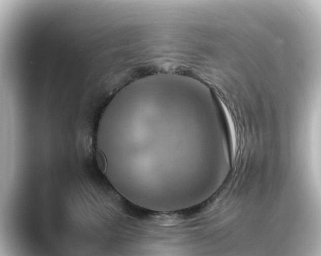X0000089410615200706221136
