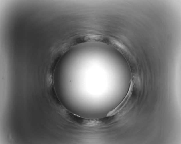 X0000089410621200706221136