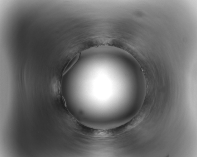 X0000089410624200706221136