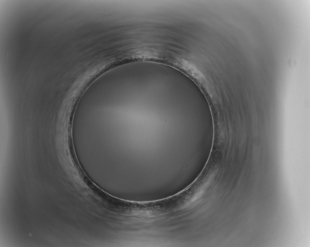 X0000089410625200706221136