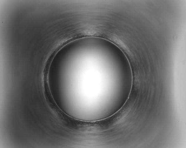 X0000089410626200706221136