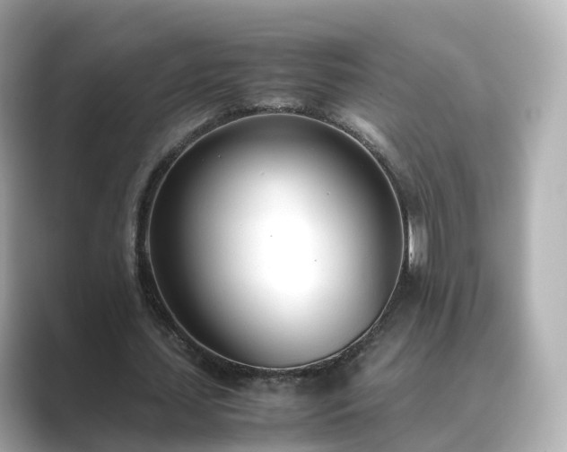 X0000089410627200706221136