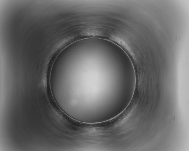 X0000089410629200706221136