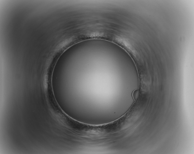X0000089410631200706221136