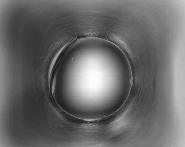 X0000089410633200706221136