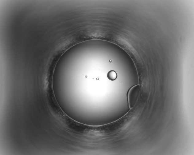 X0000089410635200706221136