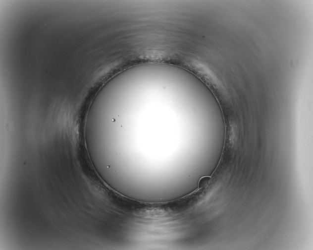 X0000089410636200706221136