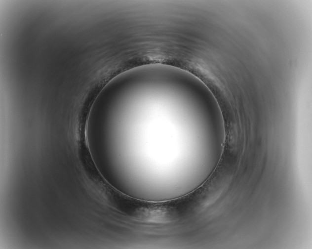 X0000089410639200706221136