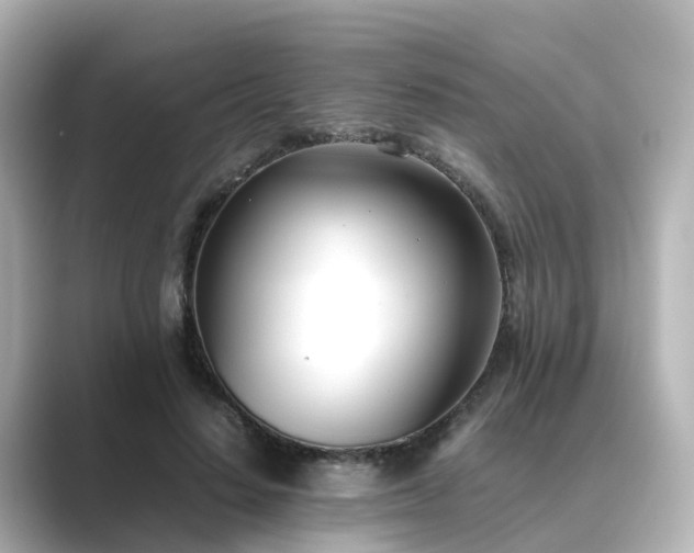 X0000089410644200706221136