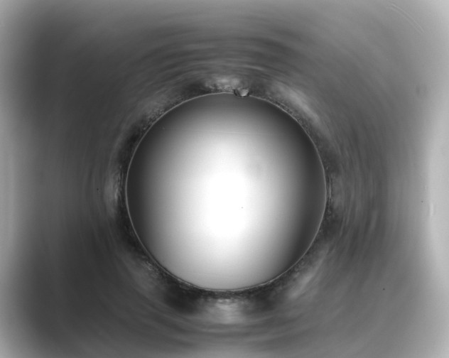 X0000089410645200706221136