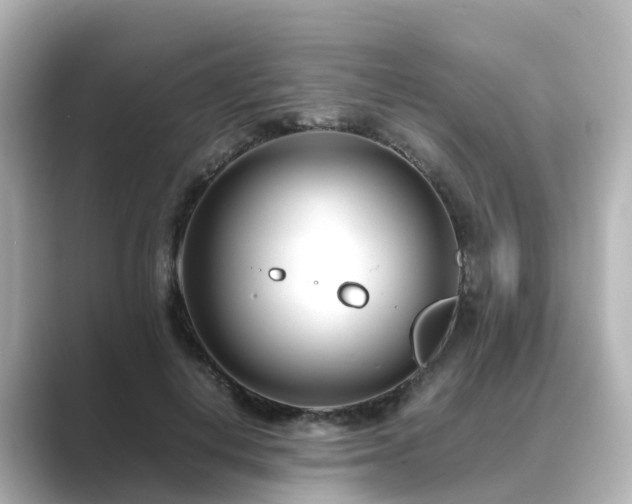 X0000089410648200706221136