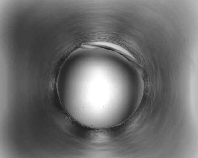 X0000089410652200706221136