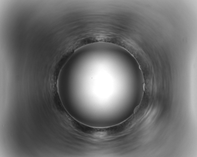X0000089410653200706221136