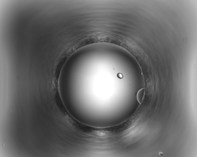 X0000089410654200706221136