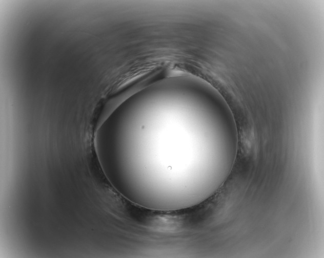 X0000089410657200706221136
