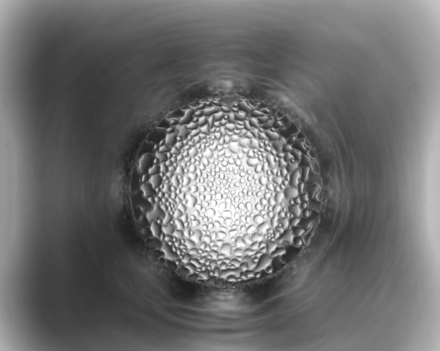 X0000089410659200706221136