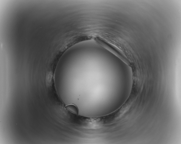 X0000089410660200706221136