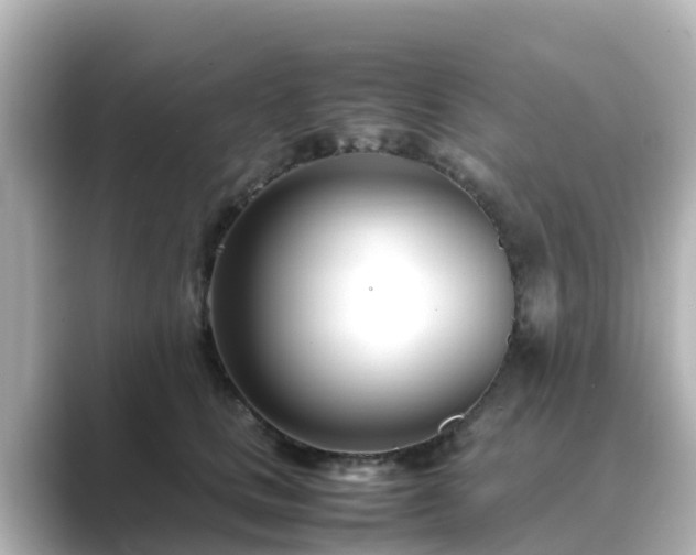 X0000089410661200706221136