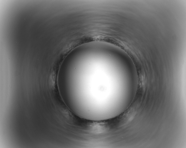X0000089410664200706221136