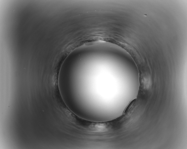 X0000089410665200706221136