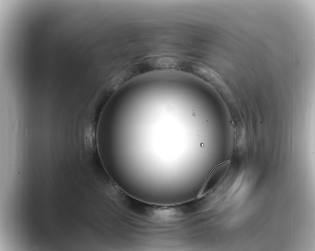 X0000089410669200706221136