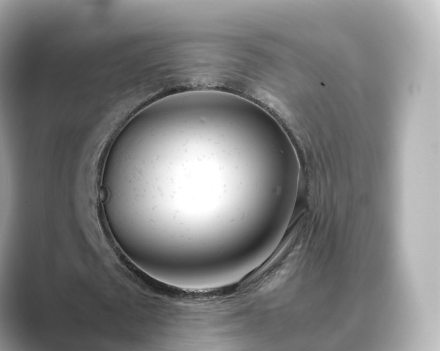 X0000089410673200706221136