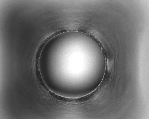 X0000089410675200706221136