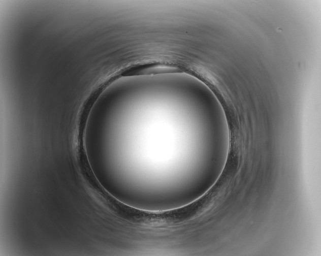 X0000089410677200706221136
