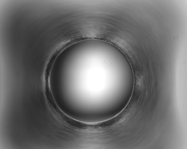 X0000089410678200706221136