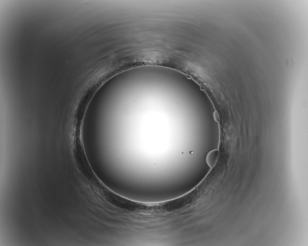 X0000089410679200706221136