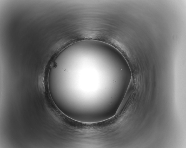 X0000089410682200706221136